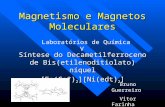 Magnetismo e Magnetos Moleculares Síntese do Decametilferroceno de Bis(etilenoditiolato) níquel [Fe(Cp*) 2 ][Ni(edt) 2 ] Bruno Guerreiro Vitor Farinha.