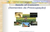 Seminário de Engenharia Genética 2005/2006 Seeds of Concern (Sementes da Preocupação)