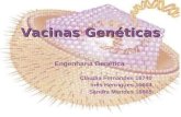 Vacinas Genéticas Engenharia Genética Cláudia Fernandes 16740 Inês Henriques 16664 Sandra Mendes 16665.