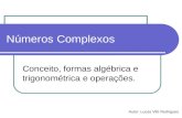 Números Complexos Conceito, formas algébrica e trigonométrica e operações. Autor: Lucas Vitti Rodrigues.