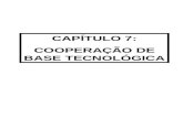 CAPÍTULO 7: COOPERAÇÃO DE BASE TECNOLÓGICA. 7.1. PRINCIPAIS DESAFIOS.