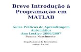 Breve Introdução à Programação em MATLAB Aulas Práticas de Aprendizagem Automática Ano Lectivo 2006/2007 Susana Nascimento Departamento de Informática.