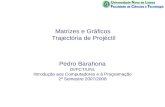 Matrizes e Gráficos Trajectória de Projéctil Pedro Barahona DI/FCT/UNL Introdução aos Computadores e à Programação 2º Semestre 2007/2008.
