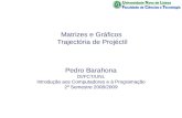 Matrizes e Gráficos Trajectória de Projéctil Pedro Barahona DI/FCT/UNL Introdução aos Computadores e à Programação 2º Semestre 2008/2009.