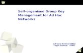 1 Self-organised Group Key Management for Ad Hoc Networks Adriano Simões 53813 Tiago Almeida53867.