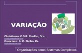 VARIAÇÃO Organizações como Sistemas Complexos Christianne C.S.R. Coelho, Dra. ccsrcoelho@aol.com Francisco A. P. Fialho, Dr. fapfialho@aol.com.