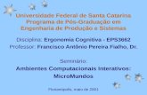 Universidade Federal de Santa Catarina Programa de Pós-Graduação em Engenharia de Produção e Sistemas Disciplina: Ergonomia Cognitiva - EPS3662 Professor: