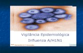 Distribuição Geográfica de casos confirmados de Influenza A(H1N1)