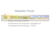Hepatites Virais Aluna: Viviane Calixto Laboratório de Animais transgênicos e Estrutura de Proteínas - NCA.