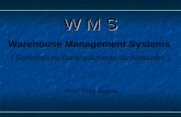 W M S Warehouse Management Systems ( Sistemas de Gerenciamento de Armazém ) Prof.º Plínio Marcos.