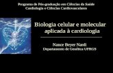Programa de Pós-graduação em Ciências da Saúde Cardiologia e Ciências Cardiovasculares Biologia celular e molecular aplicada à cardiologia Nance Beyer.