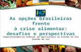 As opções brasileiras frente à crise alimentar: desafios e perspectivas Superintendência Federal de Agricultura no Estado do Rio Grande do Sul.