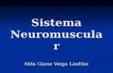 Sistema Neuromuscular Mda Giane Veiga Liedtke. Geração de Força.