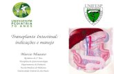 Transplante Intestinal: indicações e manejo Marcio Miasato Residente de 4° Ano Disciplina de Gastroenterologia Departamento de Pediatria Escola Paulista.