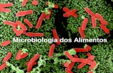 Microbiologia dos Alimentos. Alimentos meio adequado para o crescimento microbiano - deterioração (prontos para consumo - aumento dos custos) - disseminação.