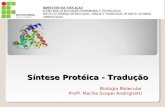Síntese Protéica - Tradução Biologia Molecular Profª. Marília Scopel Andrighetti.