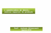 A AGROPECUÁRIA NO BRASIL: análise espacial da produção Prof. Jackson Bitencourt Agosto 2010.