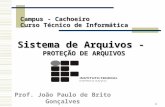 1 Prof. João Paulo de Brito Gonçalves Sistema de Arquivos - PROTEÇÃO DE ARQUIVOS Campus - Cachoeiro Curso Técnico de Informática.