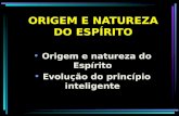 ORIGEM E NATUREZA DO ESPÍRITO Origem e natureza do Espírito Evolução do princípio inteligente.
