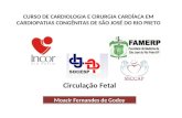 CURSO DE CARDIOLOGIA E CIRURGIA CARDÍACA EM CARDIOPATIAS CONGÊNITAS DE SÃO JOSÉ DO RIO PRETO Circulação Fetal Moacir Fernandes de Godoy.
