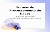 Formas de Processamento de Dados Ana Paula Terra Bacelo Introdução à Ciência da Computação.