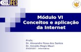Módulo VI Conceitos e aplicação da Internet Profs: Dr. Alexandre Rosa dos Santos Dr. Geraldo Regis Mauri ENG05207 - Informática.