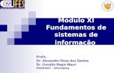 Módulo XI Fundamentos de sistemas de informação Profs: Dr. Alexandre Rosa dos Santos Dr. Geraldo Regis Mauri ENG05207 - Informática.