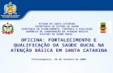 OFICINA: FORTALECIMENTO E QUALIFICAÇÃO DA SAÚDE BUCAL NA ATENÇÃO BÁSICA EM SANTA CATARINA Florianópolis, 30 de outubro de 2008 ESTADO DE SANTA CATARINA.