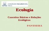 Ecologia Conceitos Básicos e Relações Ecológicas PANTHERA.