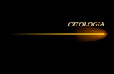 CITOLOGIA. Citologia do grego kytos=célula e logos=estudo.