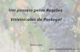 Um passeio pelas Regiões Vitivinícolas de Portugal ` Gerson Lopes .