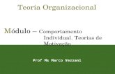 1 Teoria Organizacional Módulo – Comportamento Individual. Teorias de Motivação Prof Ms Marco Vezzani.