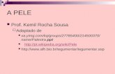 A PELE Prof. Kemil Rocha Sousa Adaptado de xa.yimg.com/kq/groups/27785400/214500370/nam e/Palestra.ppt  .