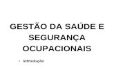 GESTÃO DA SAÚDE E SEGURANÇA OCUPACIONAIS Introdução.