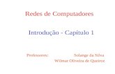 Redes de Computadores Introdução - Capítulo 1 Professores: Solange da Silva Wilmar Oliveira de Queiroz.