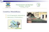 Departamento de Biologia Genética – BIO1230 Dr. Cláudio C. Silva Genética Mendeliana Lei da Segregação independente Diibridismo e Poliibridismo Gregor.