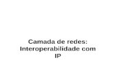 1 Camada de redes: Interoperabilidade com IP. 2 Enlaces entre duas máquinas.