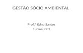 GESTÃO SÓCIO AMBIENTAL Prof.ª Edna Santos Turma: C01.