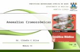 Anomalias Cromossômicas PONTIFÍCIDA UNIVERSIDADE CATÓLICA DE GOIÁS DEPARTAMENTO DE MEDICINA GENÉTICA CLÍNICA Dr. Cláudio C Silva Módulo VI Cap 18 p261.