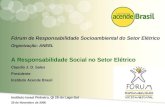 1 Fórum de Responsabilidade Socioambiental do Setor Elétrico Organização: ANEEL A Responsabilidade Social no Setor Elétrico Claudio J. D. Sales Presidente.