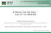 A Nova Lei do Gás – Lei nº 11.909/09 Tathiany Rodrigues Moreira Superintendência de Comercialização e Movimentação de Petróleo, seus Derivados e Gás Natural.
