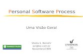 Personal Software Process Uma Visão Geral Sheila S. Reinehr ssr@bsi.com.br Novembro/1999.