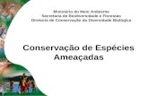 Conservação de Espécies Ameaçadas Ministério do Meio Ambiente Secretaria de Biodiversidade e Florestas Diretoria de Conservação da Diversidade Biológica.