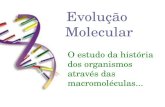 Evolução Molecular O estudo da história dos organismos através das macromoléculas...