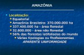 AMAZ”NIA __________________________________ Localiza§£o: Localiza§£o: Equatorial Equatorial Amaz´nia Brasileira: 370.000.000 ha Amaz´nia Brasileira: 370.000.000