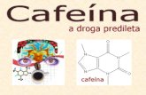 A cafeína é a droga mais consumida em todo o mundo. Esta droga pode ser encontrada no café, chá, chimarrão, refrigerantes e no chocolate.