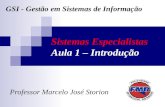 Sistemas Especialistas Aula 1 – Introdução Professor Marcelo José Storion GSI - Gestão em Sistemas de Informação.