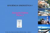 EFICIÊNCIA ENERGÉTICA I Profa. Dra. Maria de Fátima Ribeiro Raia – DAELT Geração Eólica Parte 1.