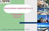 EFICIENCIA ENERGÉTICA I Cogeração Parte 2 Profa. Dra. Maria de Fátima Ribeiro Raia – DAELT.