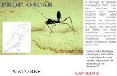 P ROF. O SCAR VETORES CAPITULO 3 A formiga do deserto Cataglyphis fortis vive nas planícies do deserto do Saara. Quando saem para procurar comida seguem.